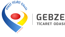 DİJİTAL DÖNÜŞÜM PROGRAMI